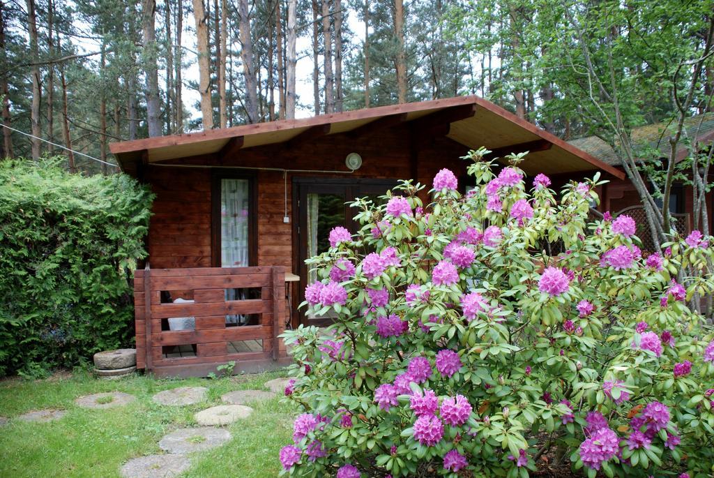 Audrones Sodyba Sventoji Bagian luar foto